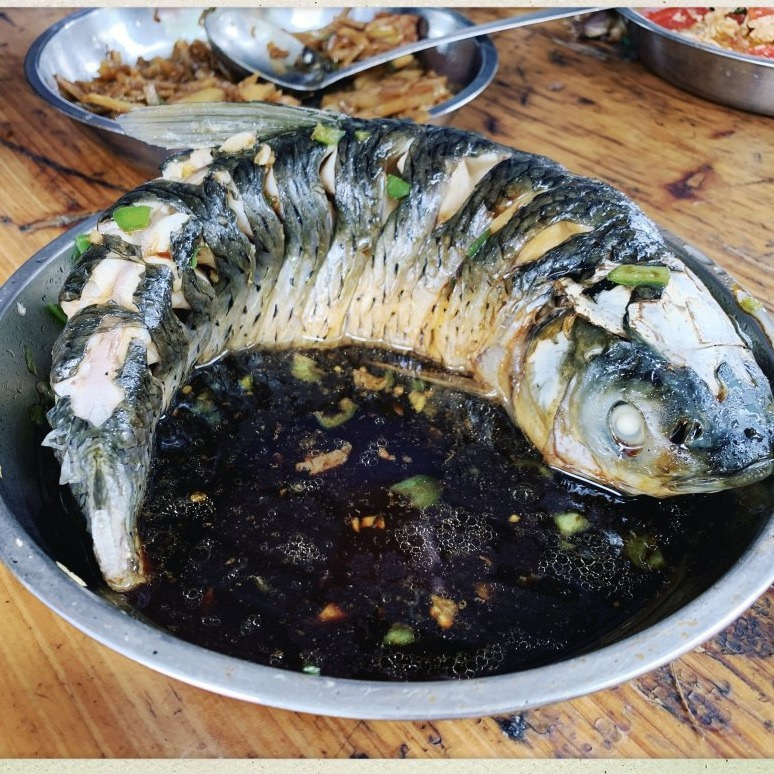 清蒸草魚 清蒸草魚