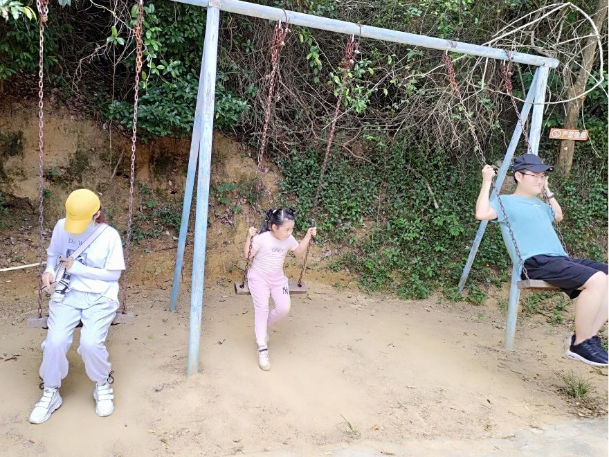 蕩秋千 蕩秋千